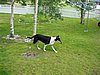 P8170228.JPG