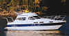 sealine.jpg (287092 tavu(a))